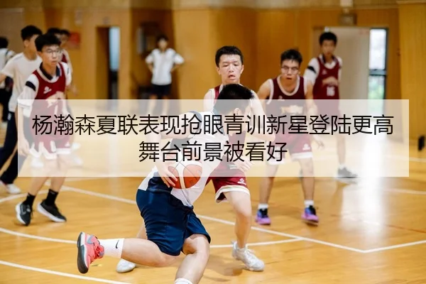 杨瀚森夏联表现抢眼青训新星登陆更高舞台前景被看好